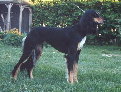 Indiana